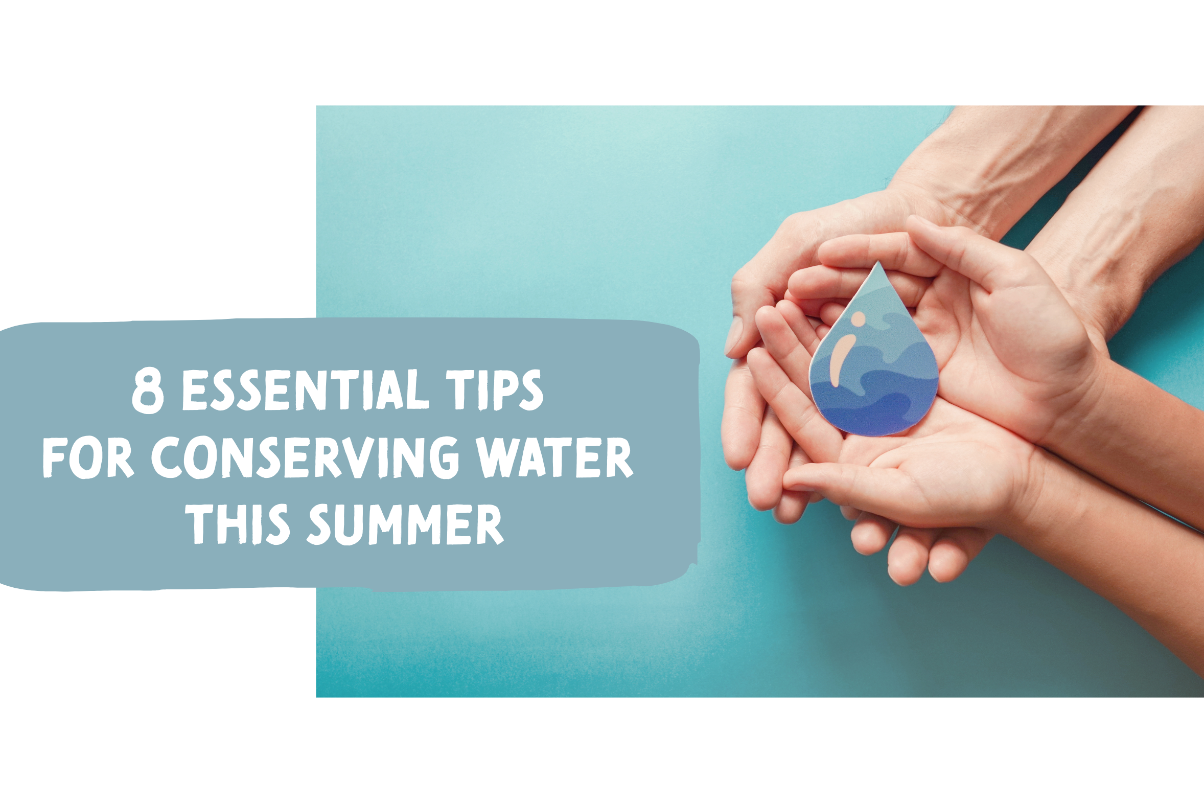 Blog on how to conserve water for the summer.